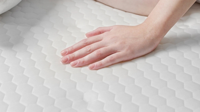 Bear GlacioTex Mattress Protector