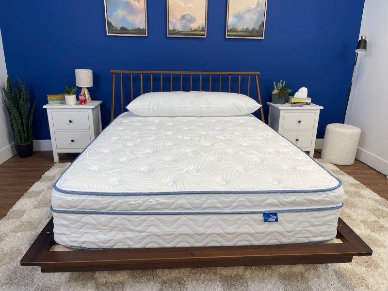 DLX Premier Hybrid