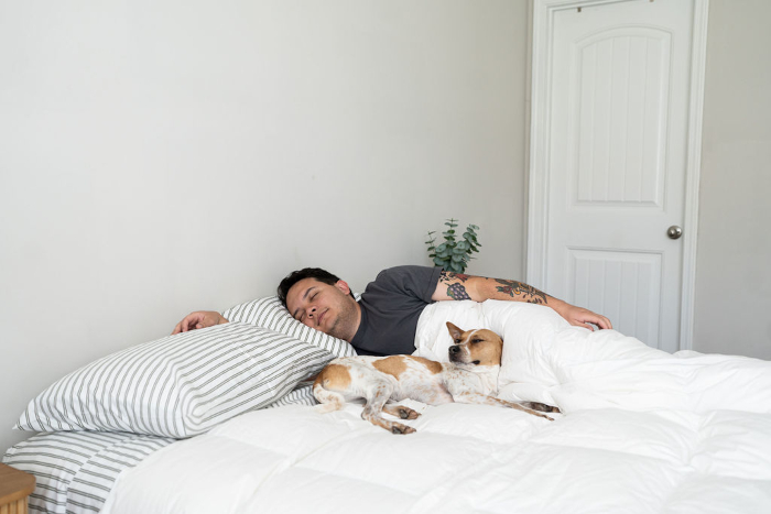 Napping with the dog on a Riley White Goose Down Comforter