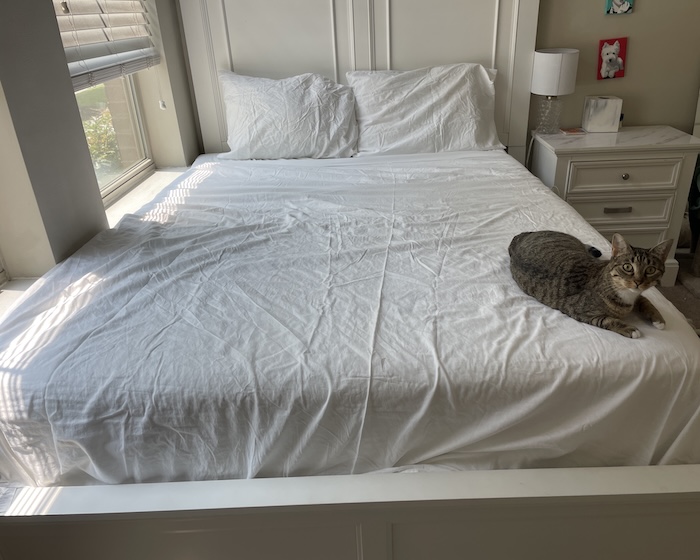 Casper SuperSoft Sheet Set