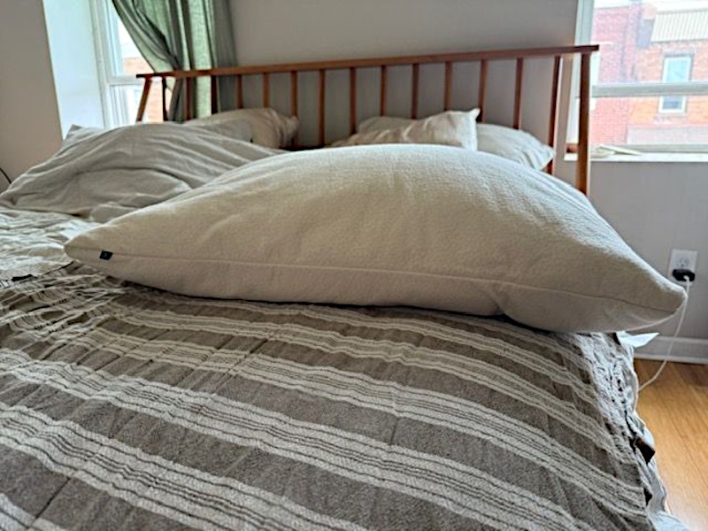 A good look at a Birch Organic Pillow