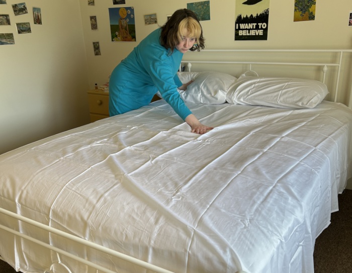 Silk & Snow Egyptian Cotton Bed Sheets