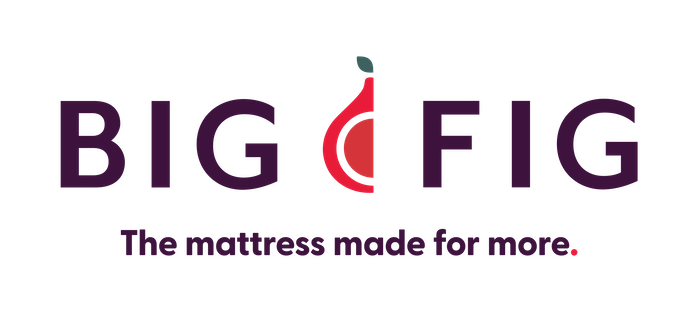 Big Fig logo full color horizontal