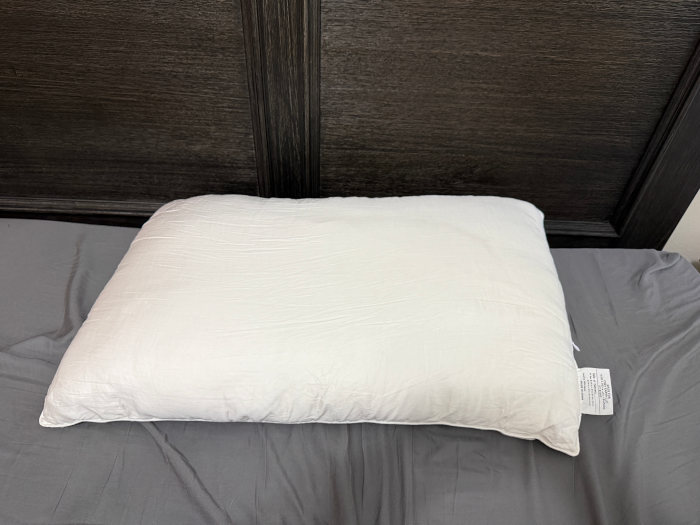 Cozy Silk Earth Pillow Product Pic