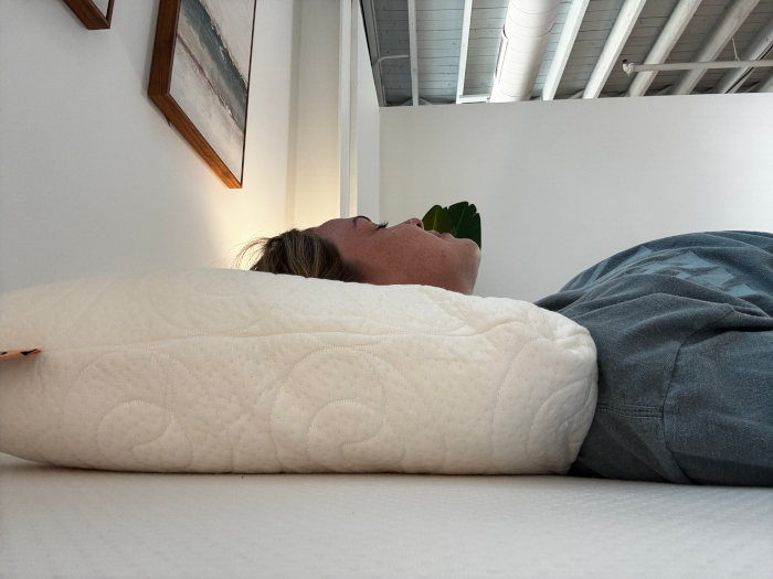 Lagoon Puffin Pillow