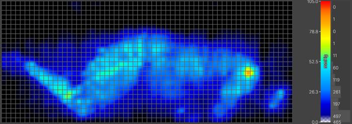 Side-sleeping pressure map of our heavy tester on the WinkBed EcoCloud Hybrid Mattress